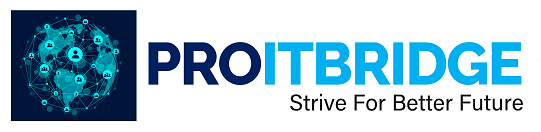 PROITBRIDGE — Strive For Better Future